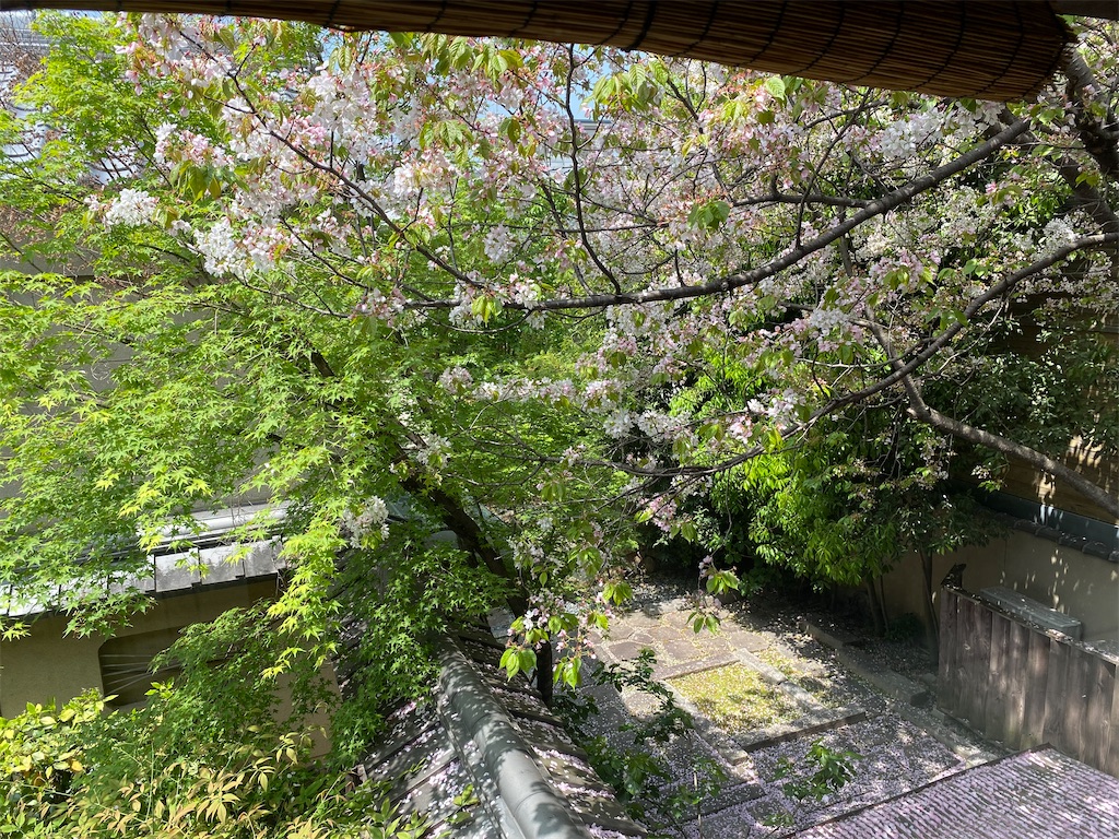 f:id:masakik512:20230423215146j:image