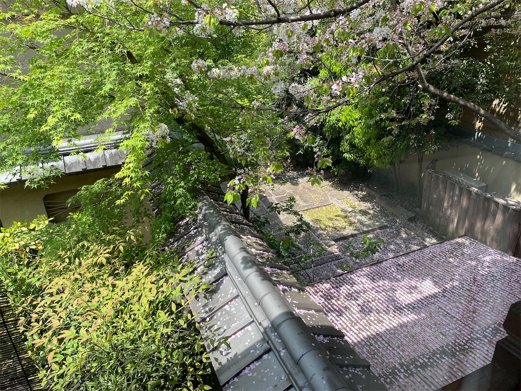 f:id:masakik512:20230423215203j:image