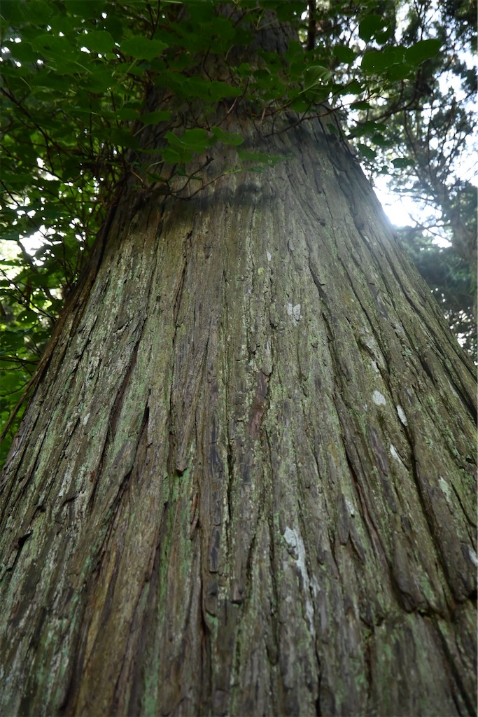 f:id:masakik512:20230824221711j:image