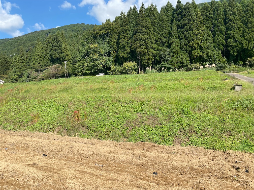 f:id:masakik512:20231017233226j:image