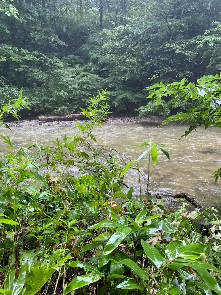 f:id:masakik512:20240815223633j:image