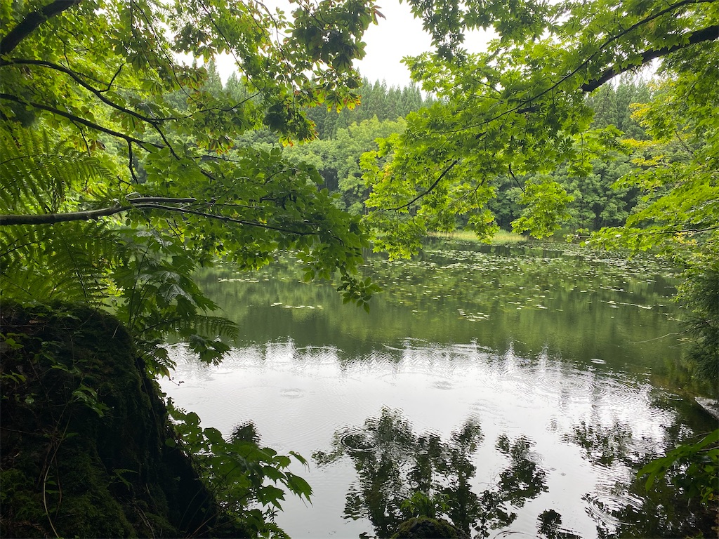 f:id:masakik512:20240815223826j:image