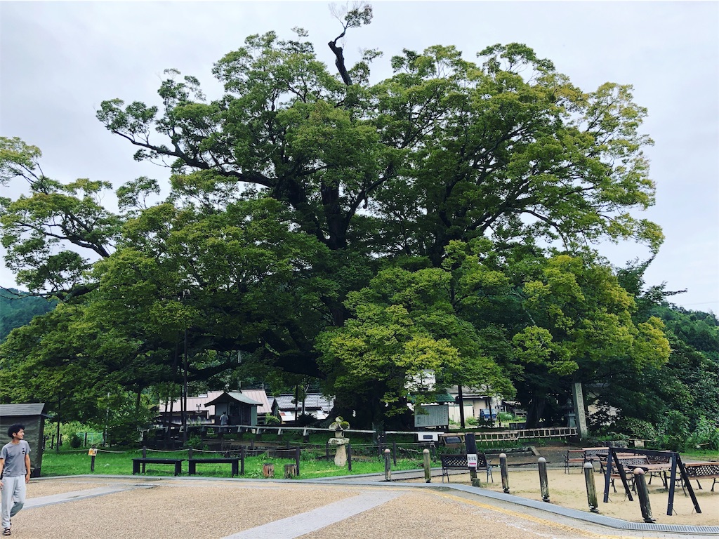 f:id:masakimaenosono:20190829130042j:image f:id:masakimaenosono:20190829130042j:image