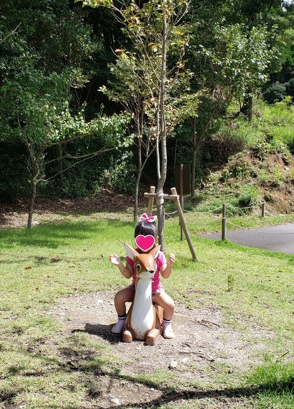 f:id:masakinng:20191202192442j:plain