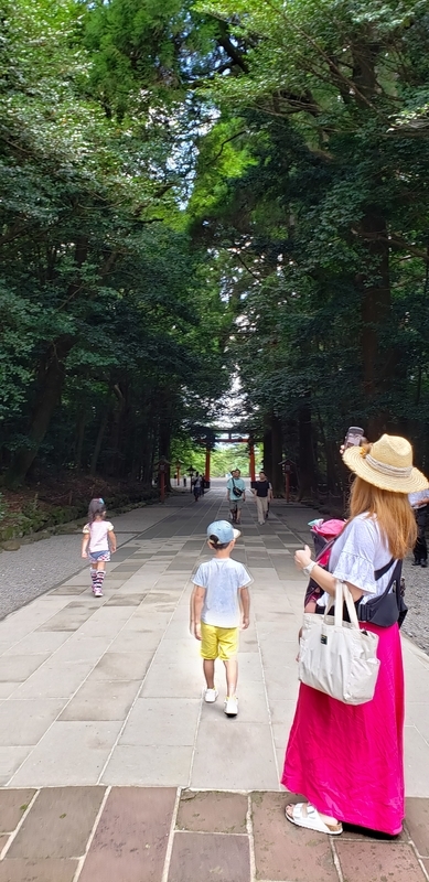 f:id:masakinng:20191202192508j:plain