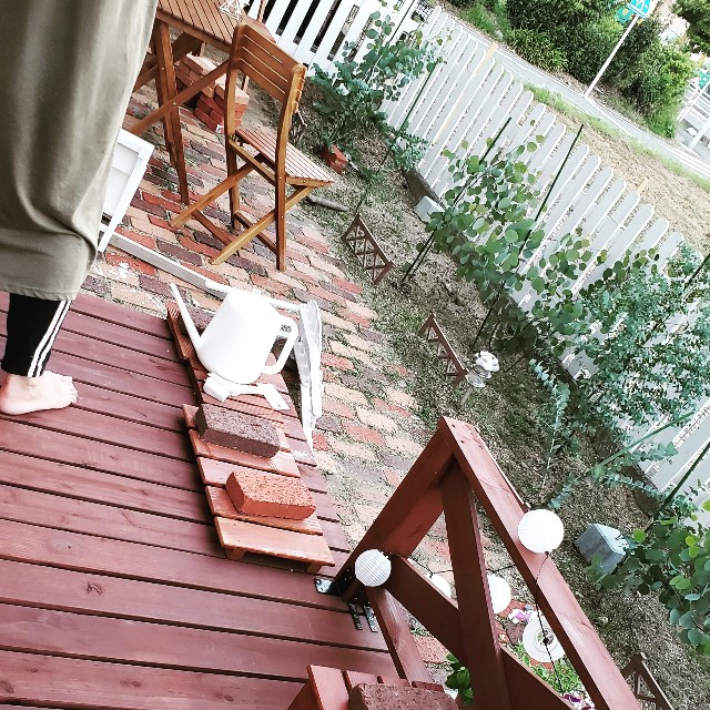 f:id:masakinng:20210206195442j:plain