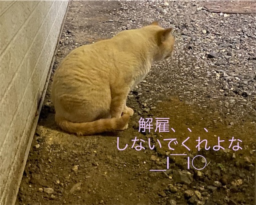 f:id:masakiss4sr:20210127093539j:image