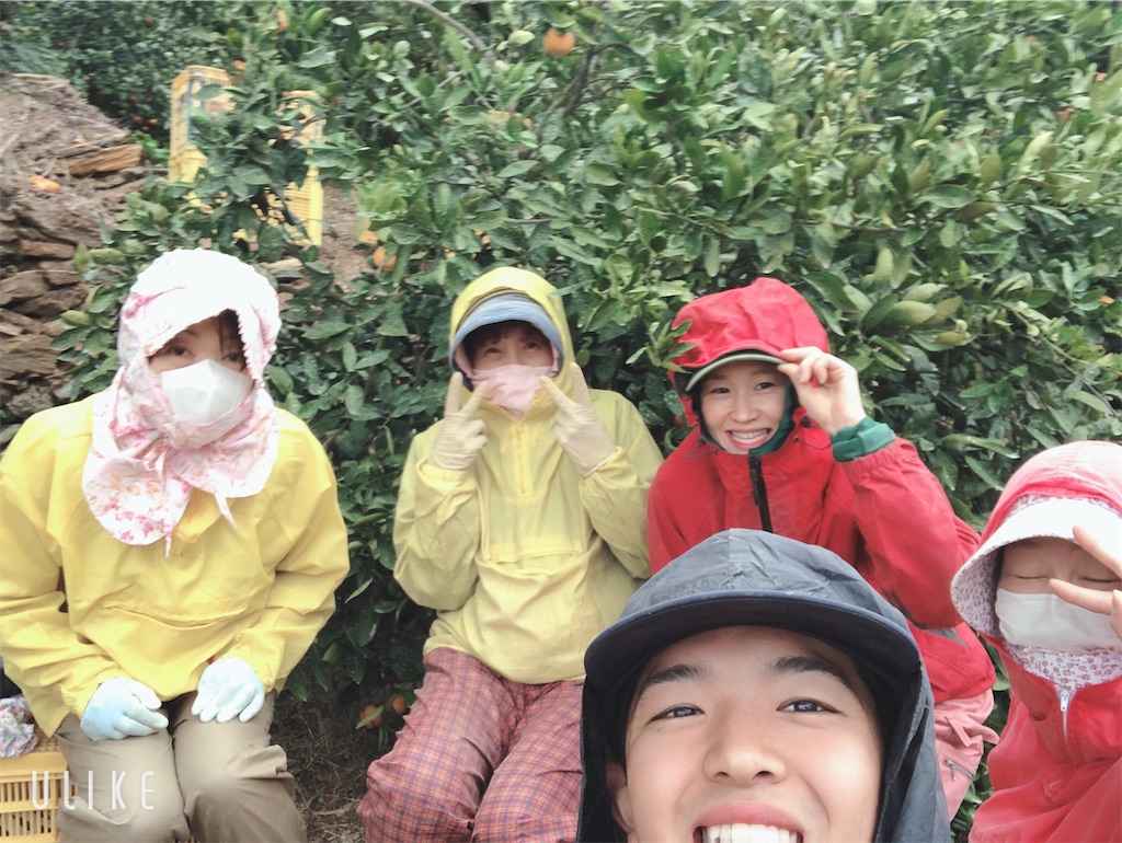 f:id:masakiti39_com:20210210171733j:image f:id:masakiti39_com:20210210171733j:image