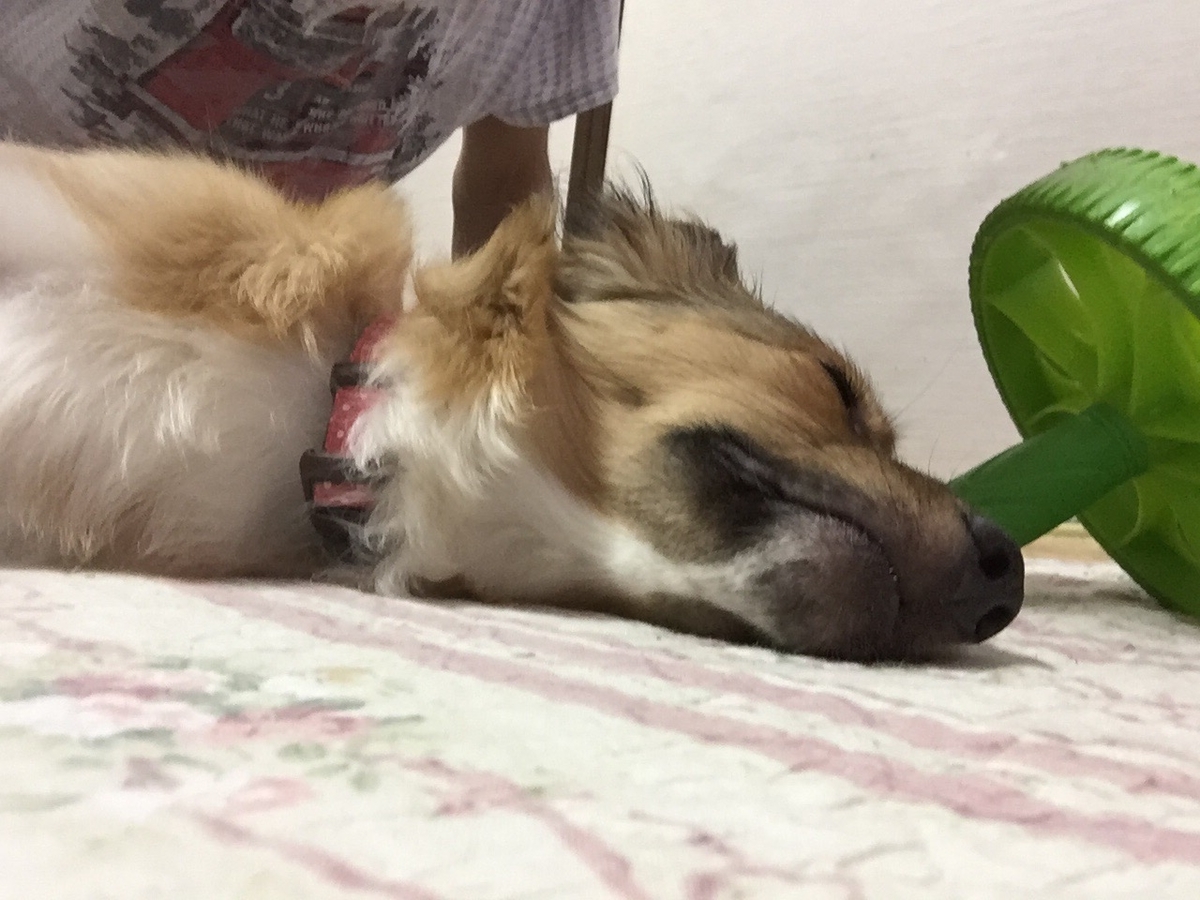 f:id:masakiyo1115:20200608214112j:plain