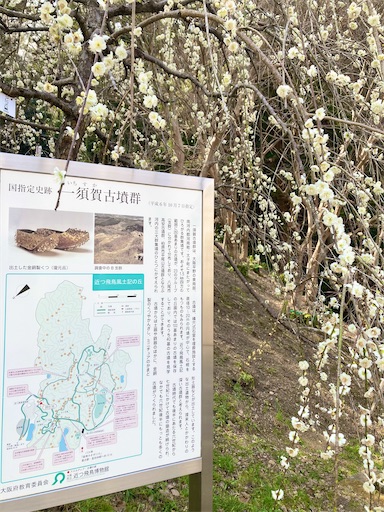 f:id:masako358:20230310175328j:image