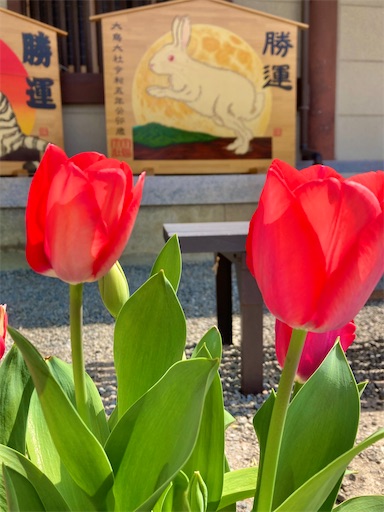 f:id:masako358:20230413132952j:image