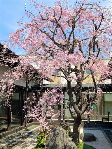 f:id:masako358:20230413203035j:image