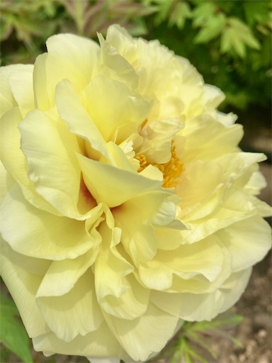 f:id:masako358:20230426172428j:image