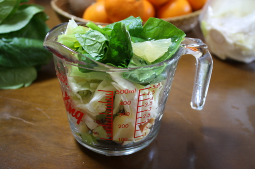f:id:masako_y:20101219110903j:image