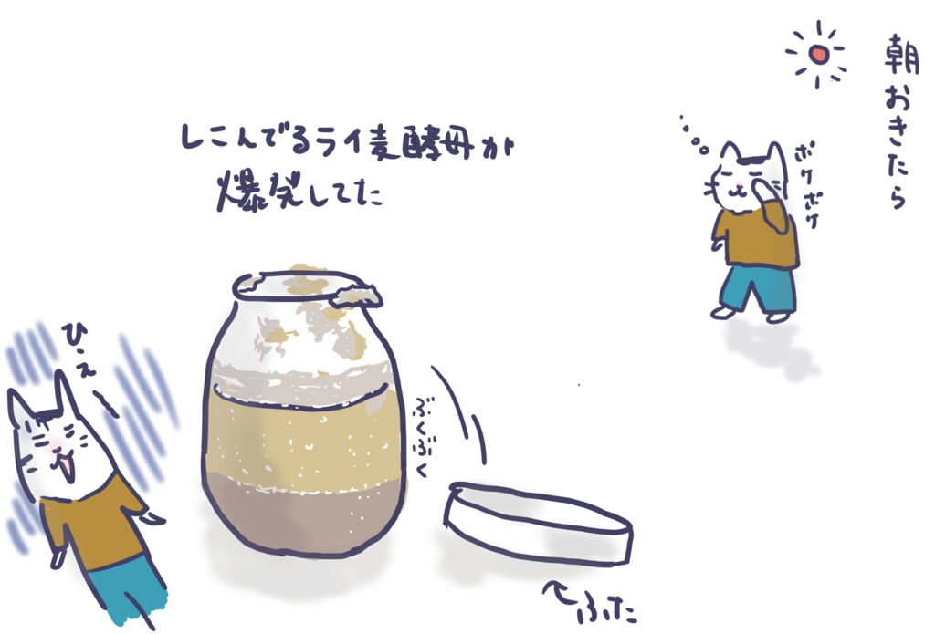 f:id:masako_y:20161121135642j:plain