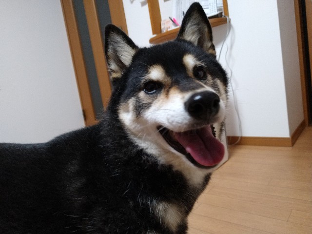 f:id:masakumiapple:20191111223422j:image