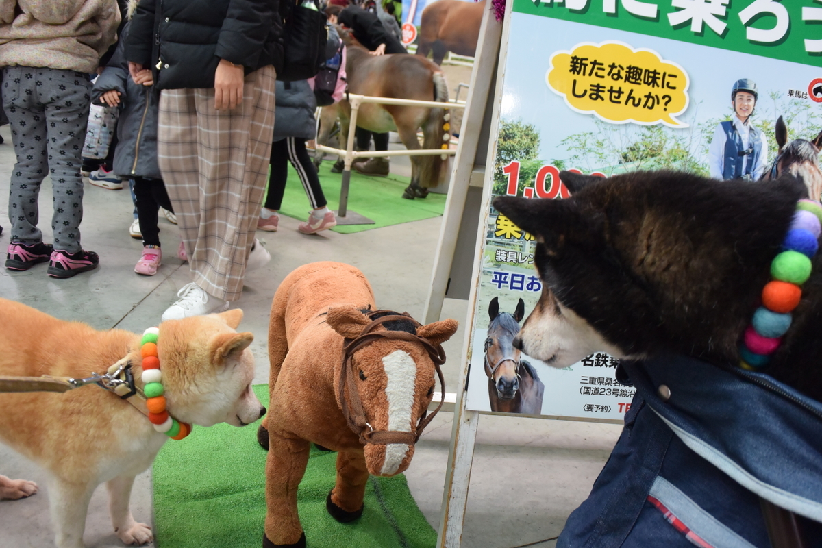 f:id:masakumiapple:20200125201520j:plain