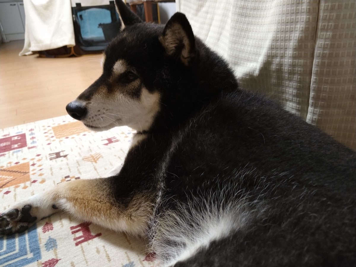 f:id:masakumiapple:20200710215924j:plain