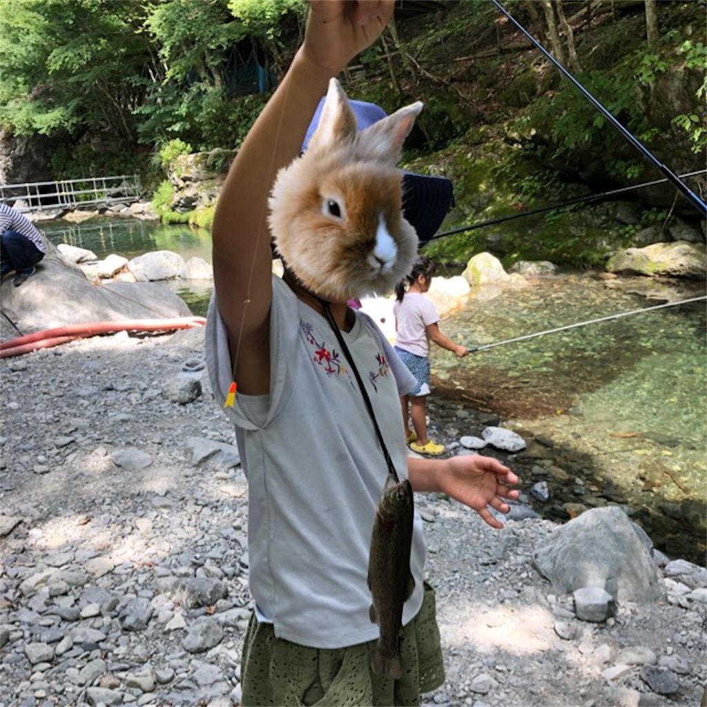 f:id:masaleo:20180710135735j:image