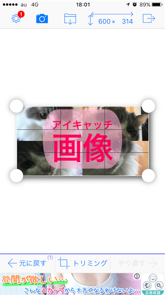 f:id:masalib:20170511193054p:image f:id:masalib:20170511193054p:image