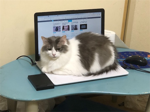 f:id:masalib:20190704201210j:image