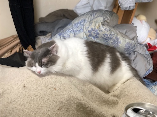 f:id:masalib:20190704201215j:image