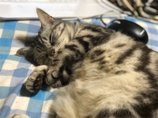 f:id:masalib:20190704201234j:image