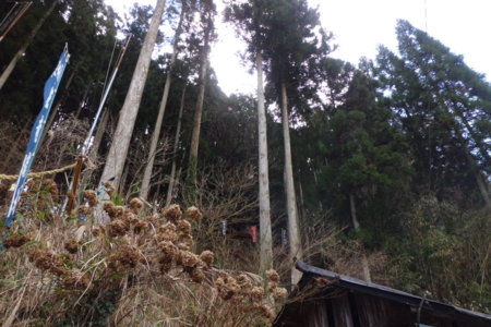 f:id:masam48:20121226104354j:image