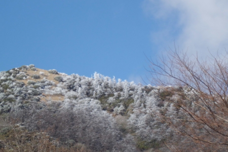 f:id:masam48:20121226135620j:image
