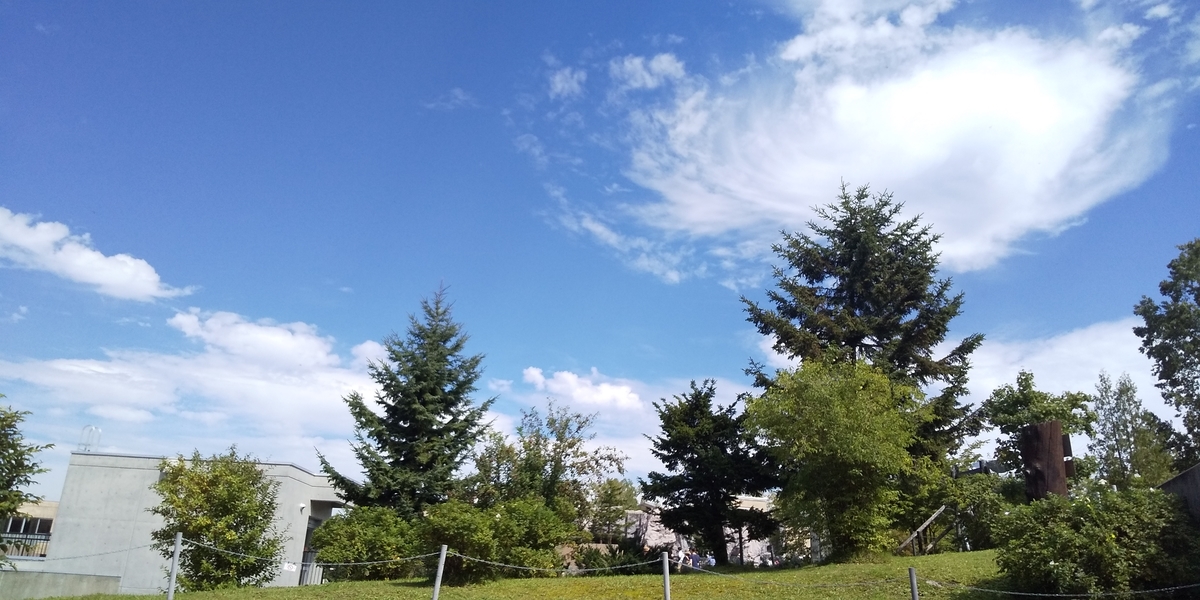 f:id:masamasa1223:20190920110431j:plain