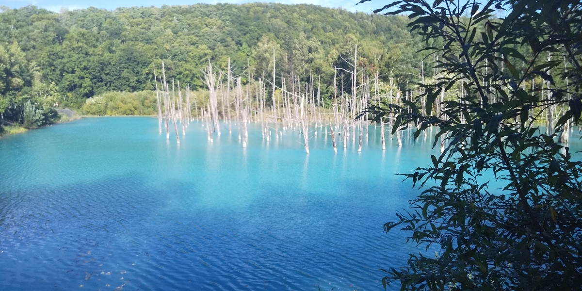 f:id:masamasa1223:20190920115351j:plain