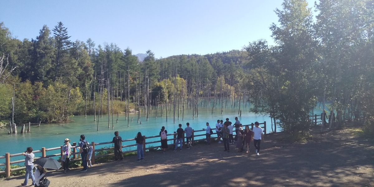 f:id:masamasa1223:20190920115417j:plain