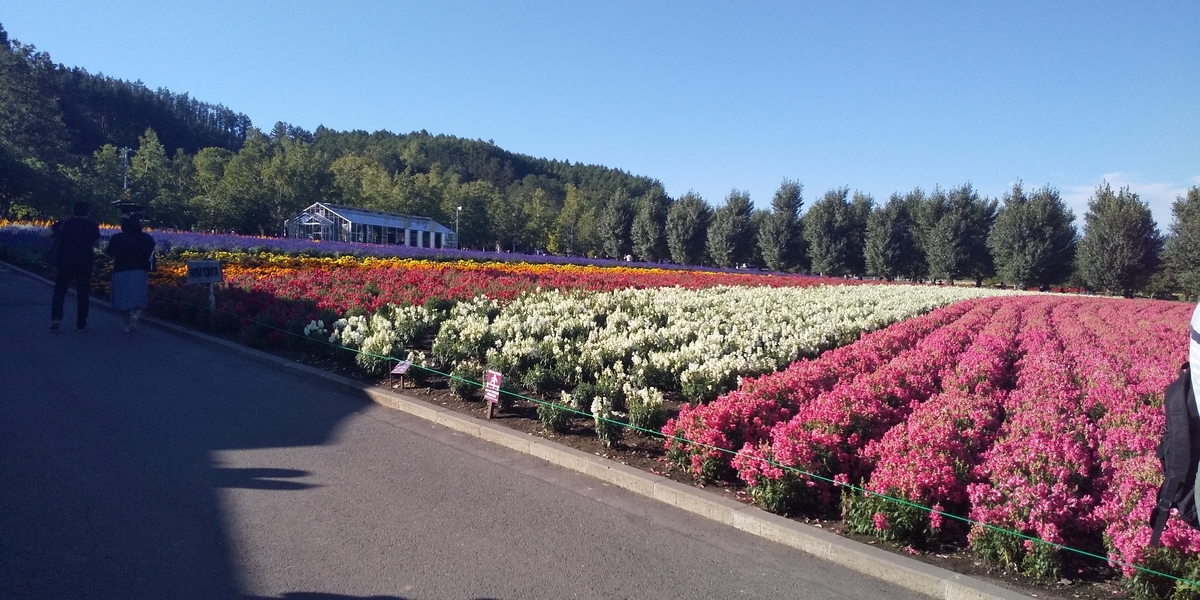 f:id:masamasa1223:20190920115619j:plain