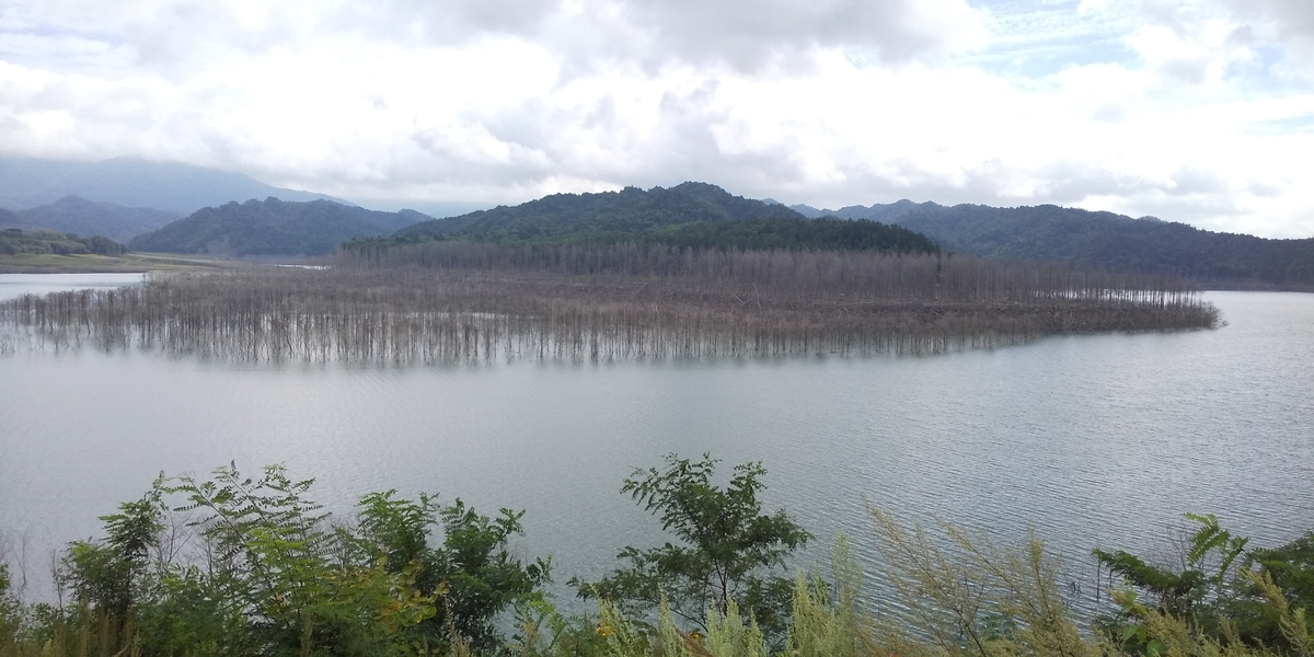 f:id:masamasa1223:20190921091154j:plain
