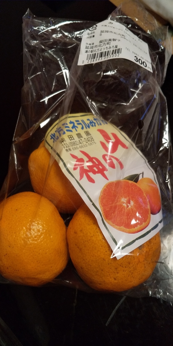 f:id:masamasa1223:20191119235332j:plain f:id:masamasa1223:20191119235332j:plain