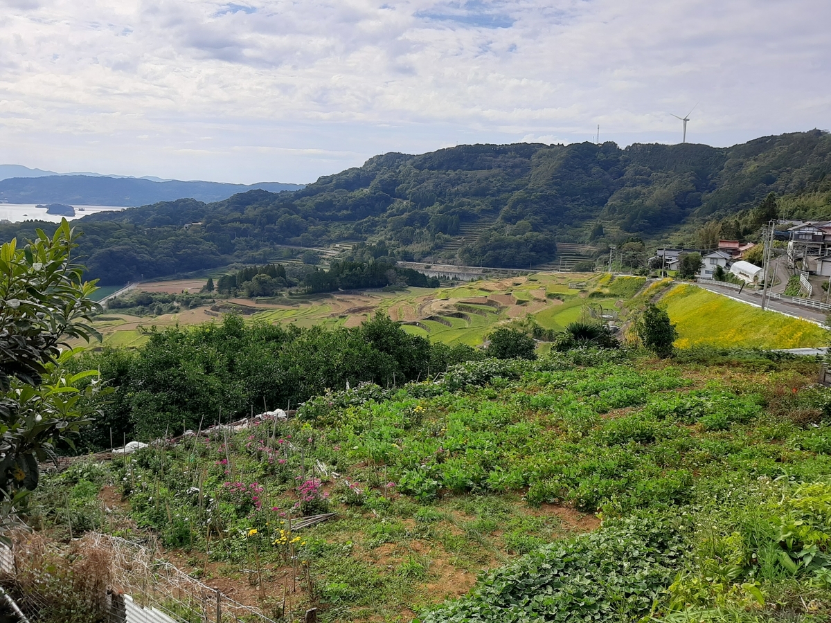 f:id:masamasa1223:20201031114235j:plain
