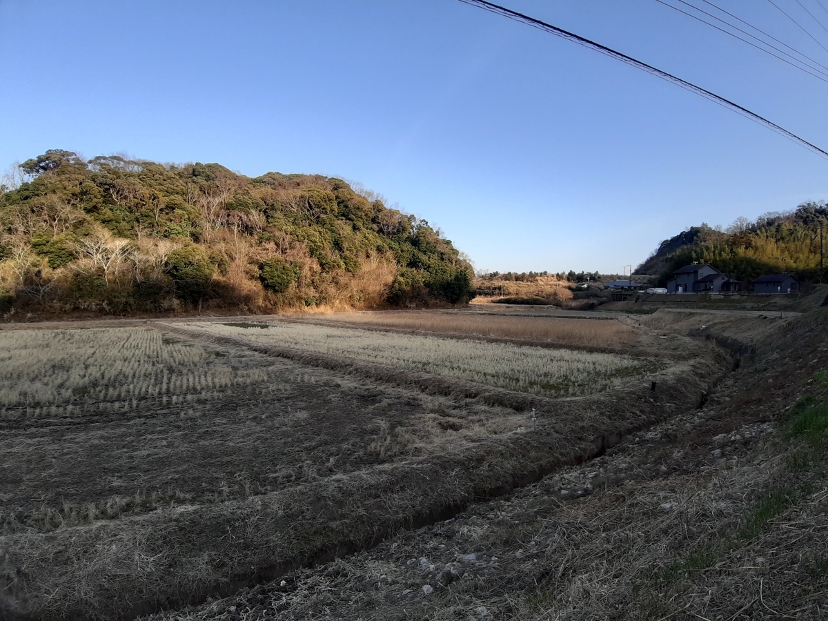 f:id:masamasa1223:20210228120807j:plain