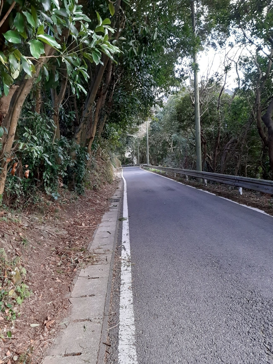 f:id:masamasa1223:20210302133910j:plain