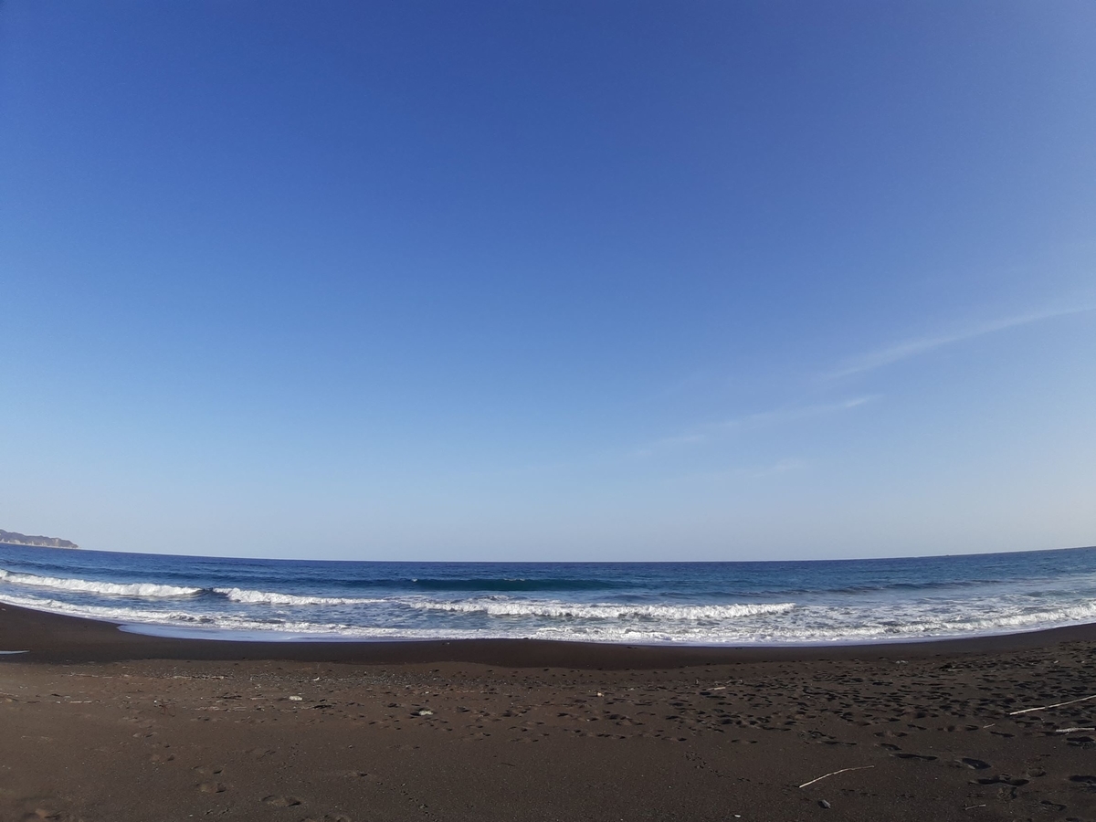f:id:masamasa1223:20210312022455j:plain