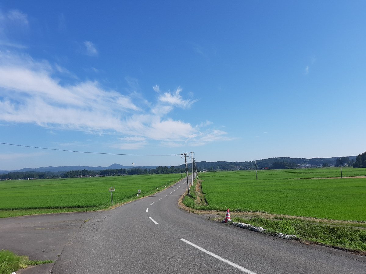 f:id:masamasa1223:20210720174404j:plain