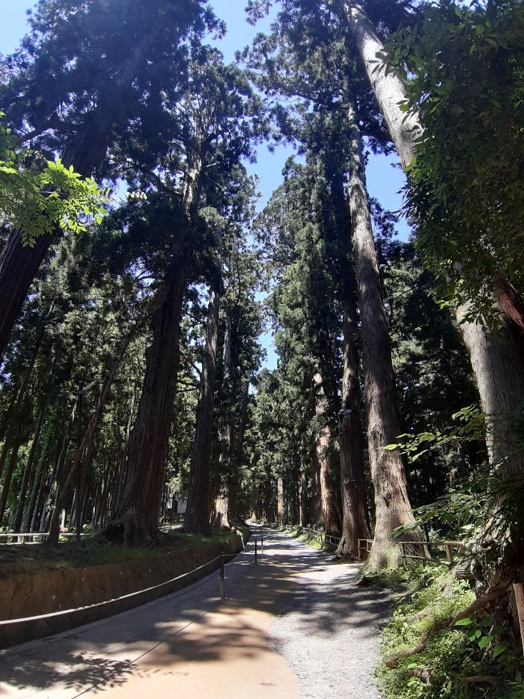 f:id:masamasa1223:20210720174430j:plain