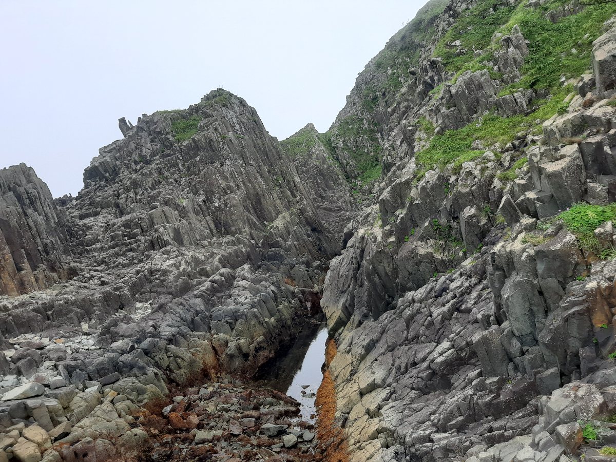 f:id:masamasa1223:20210725180945j:plain