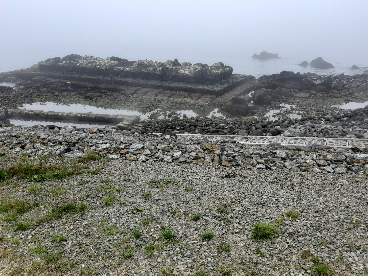 f:id:masamasa1223:20210725181003j:plain