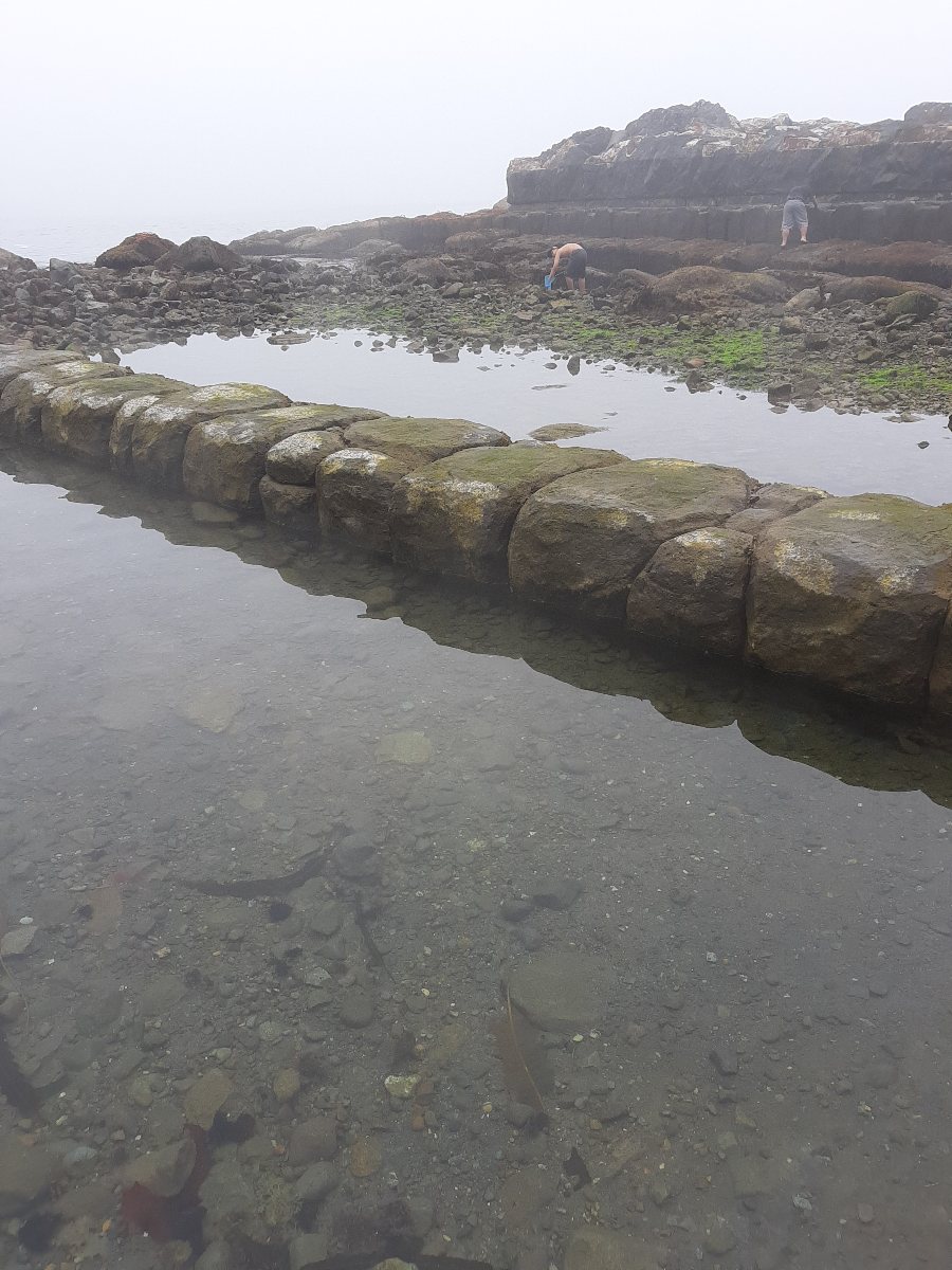 f:id:masamasa1223:20210725181008j:plain