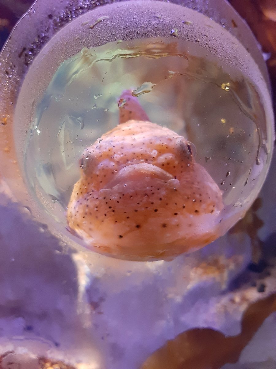 f:id:masamasa1223:20210905180200j:plain