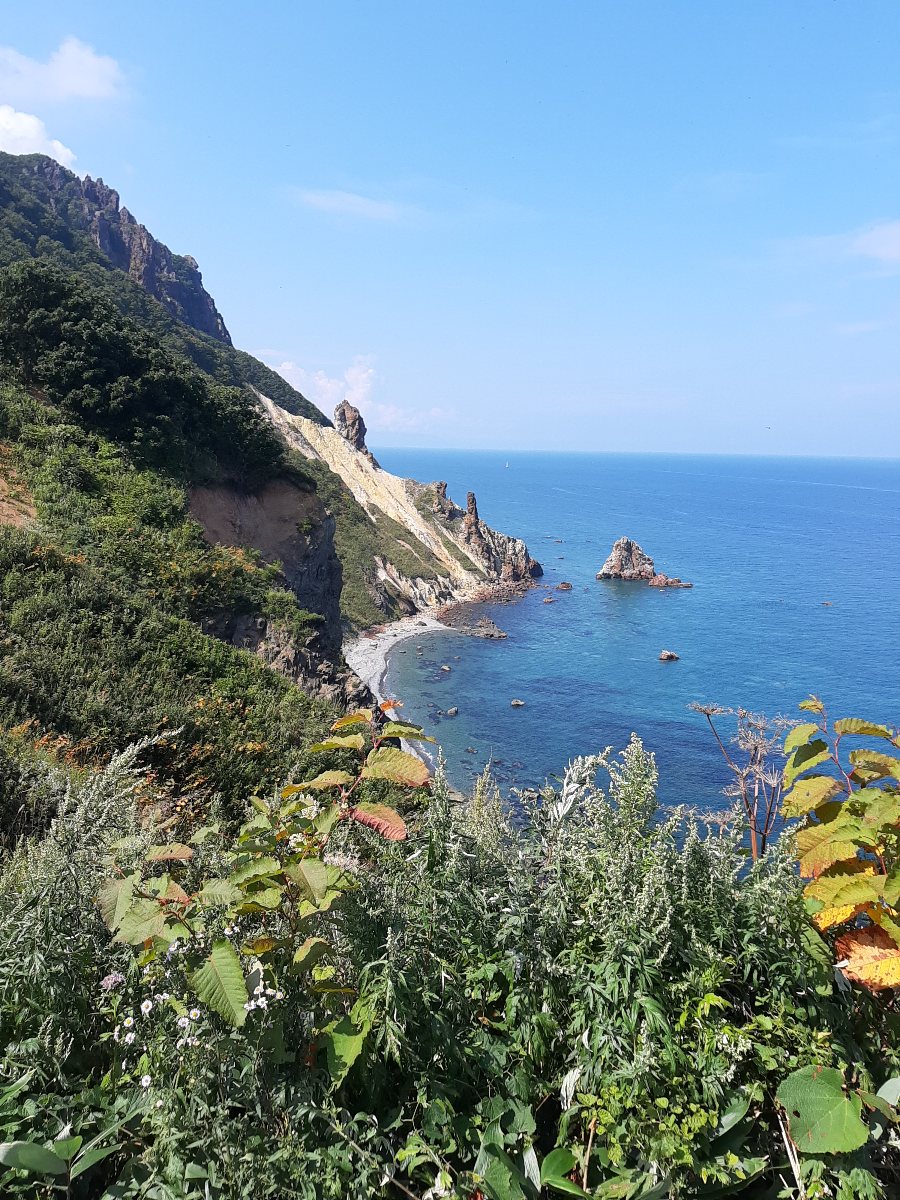 f:id:masamasa1223:20210905180204j:plain