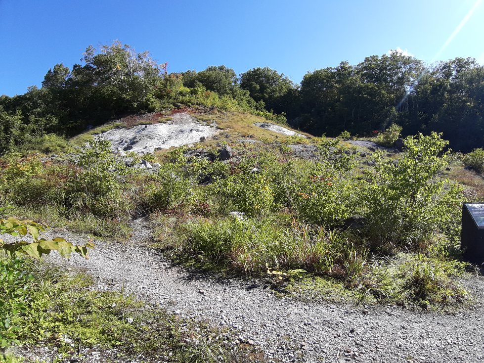 f:id:masamasa1223:20210911203746j:plain