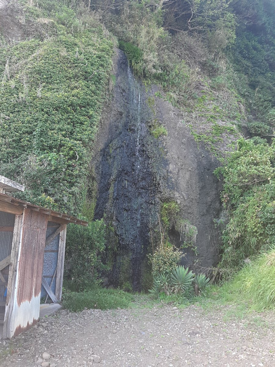 f:id:masamasa1223:20210929082124j:plain