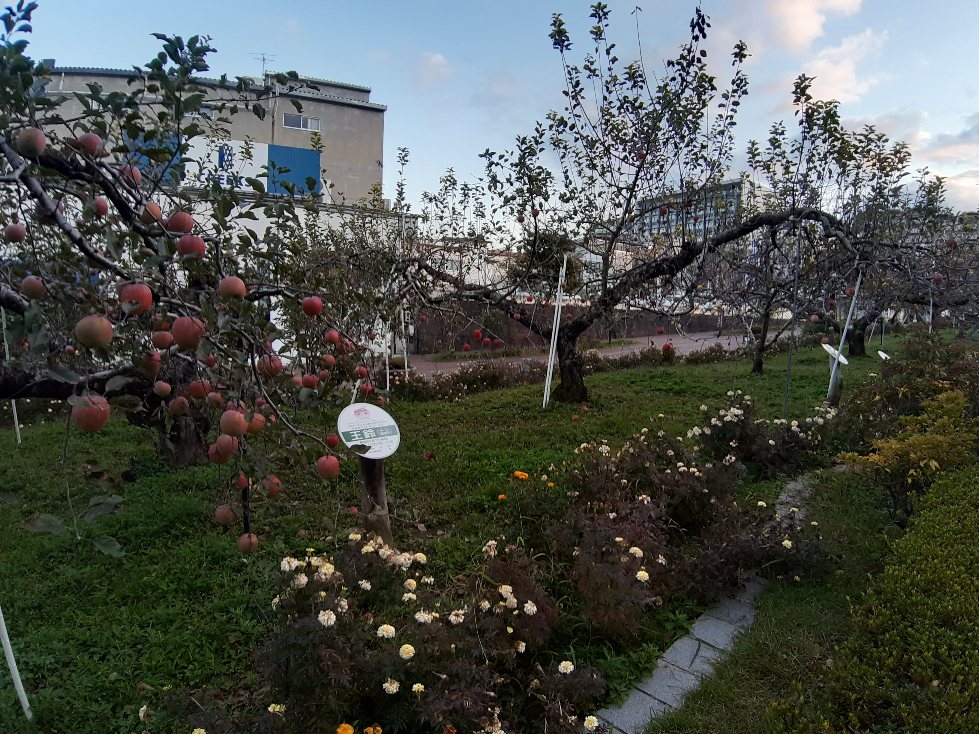 f:id:masamasa1223:20211027082732j:plain