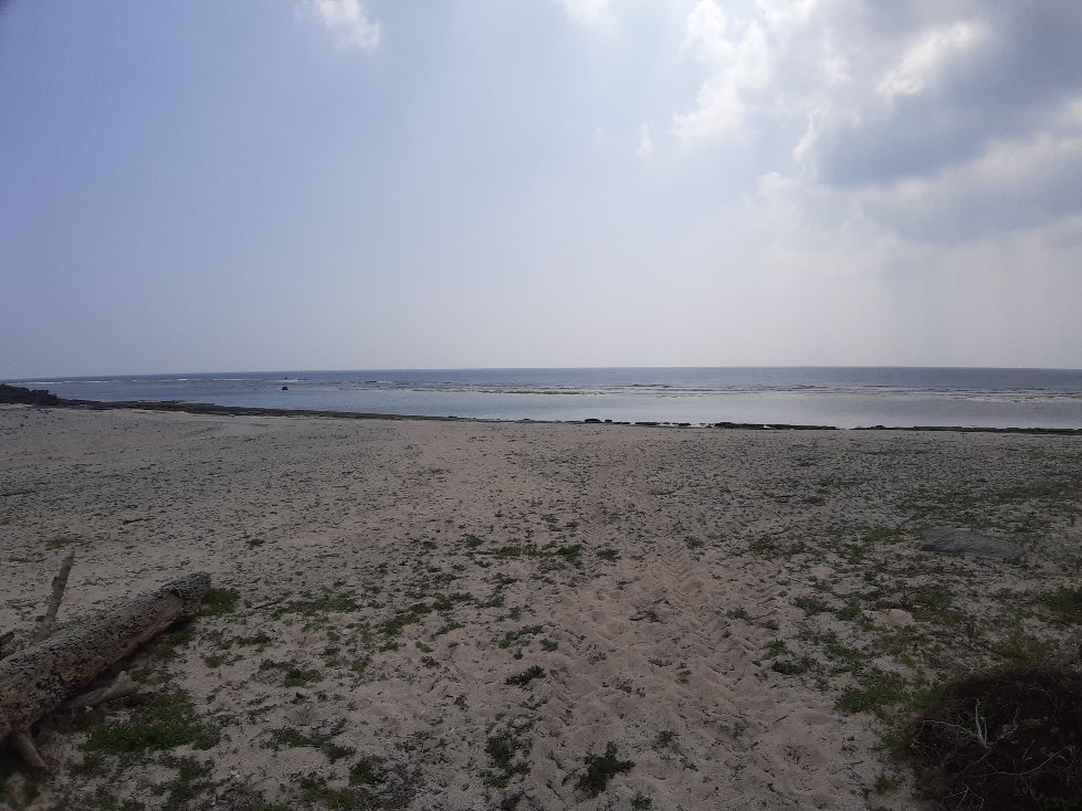 f:id:masamasa1223:20220408175706j:plain